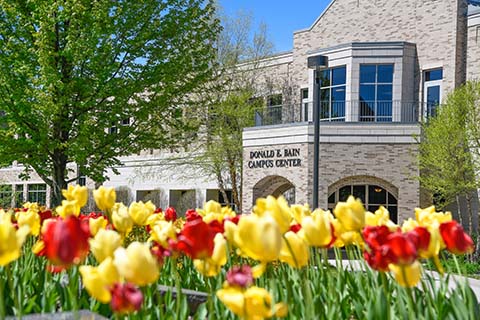 Yellow and red tulips in front of the Donald E. Bain Campus Center.