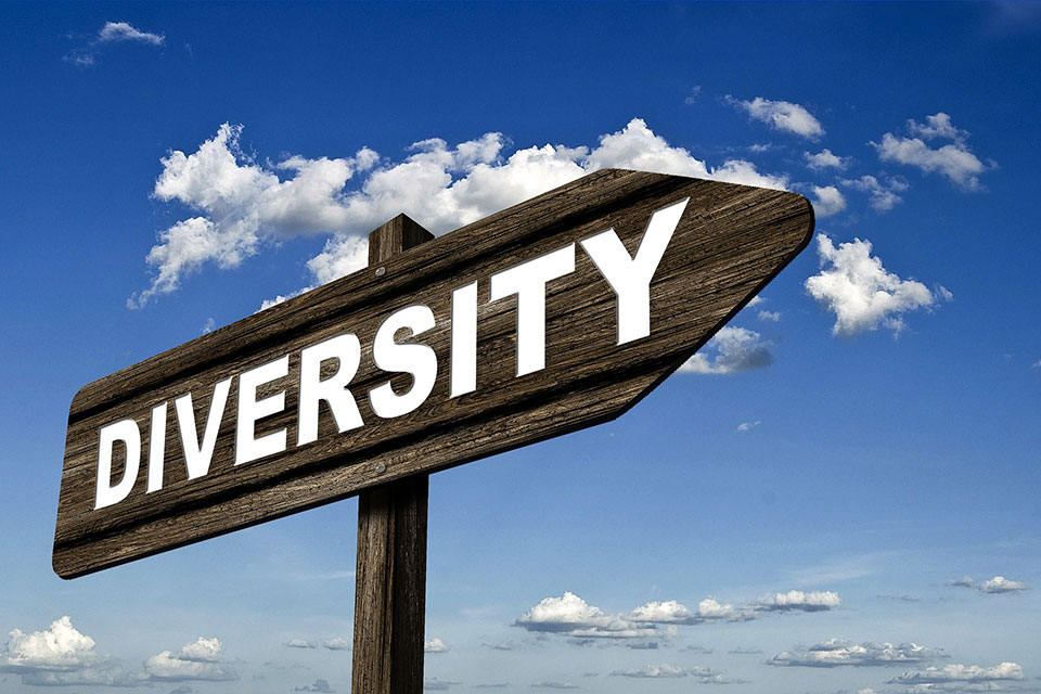 A signpost reads Diversity.