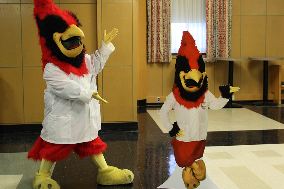 Pharmacy Cardinal stands next to Flat Cardinal.