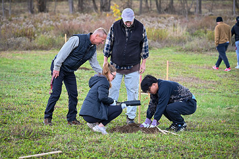 First-year students plant American chestnut trees.