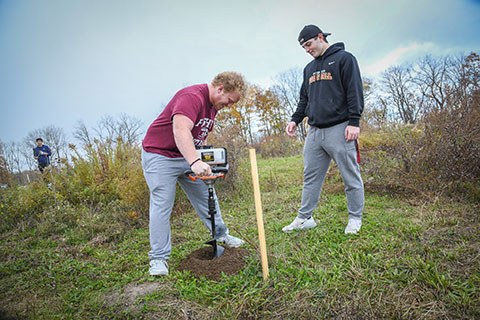 First-year students plant American chestnut trees.