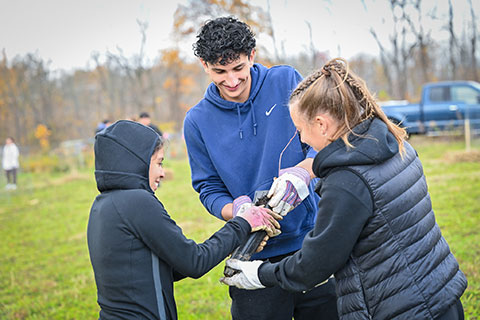 First-year students plant American chestnut trees.