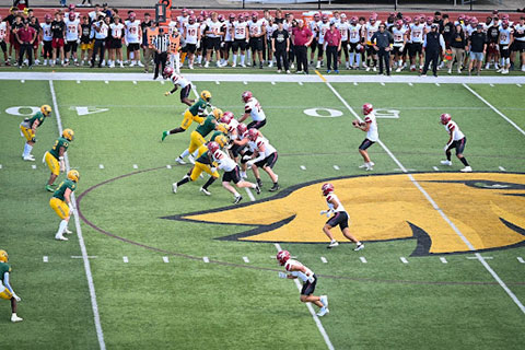 The Cardinal football team runs a play against SUNY Brockport.