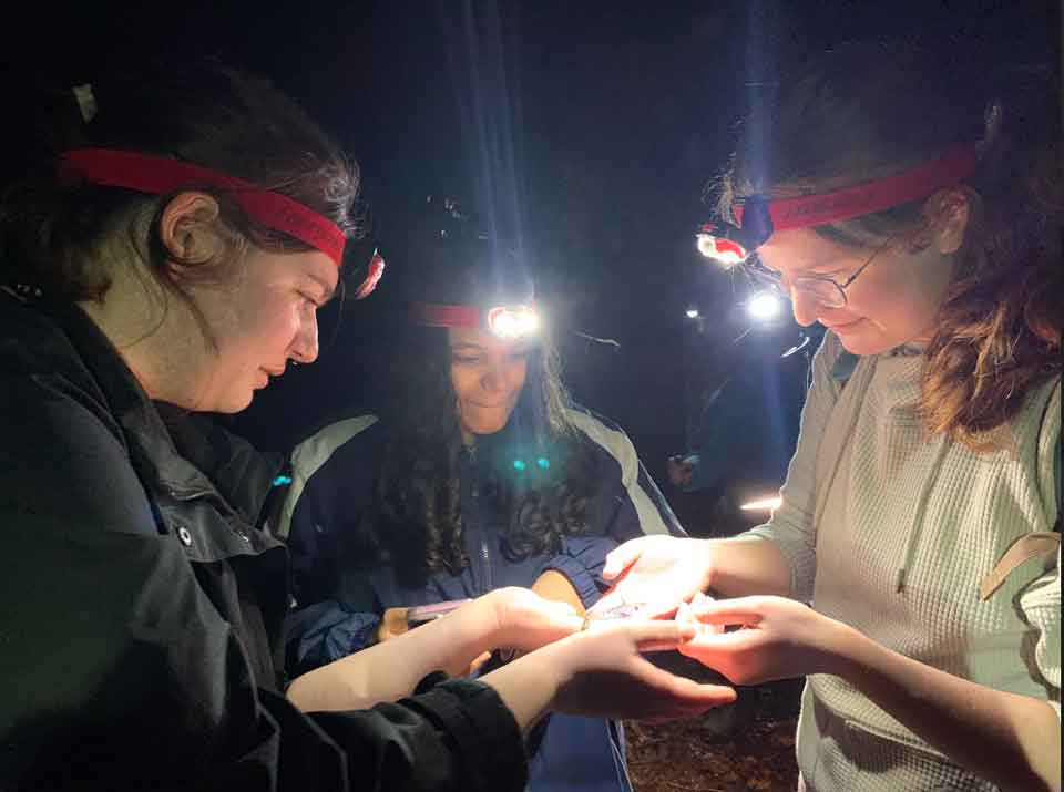 Spring 2025 — Sara Miller, Alyssa Karsten, and Dayana Gonzalez carefully hold a spotted salamander during a field study.
