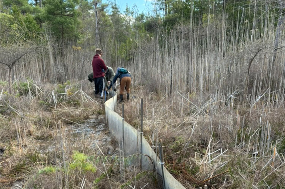 Researchers in the wild.