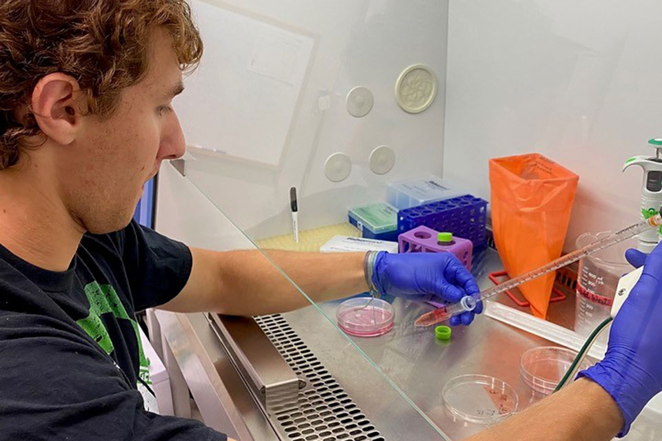 Dominic Tabechian conducts research in Fisher's lab.