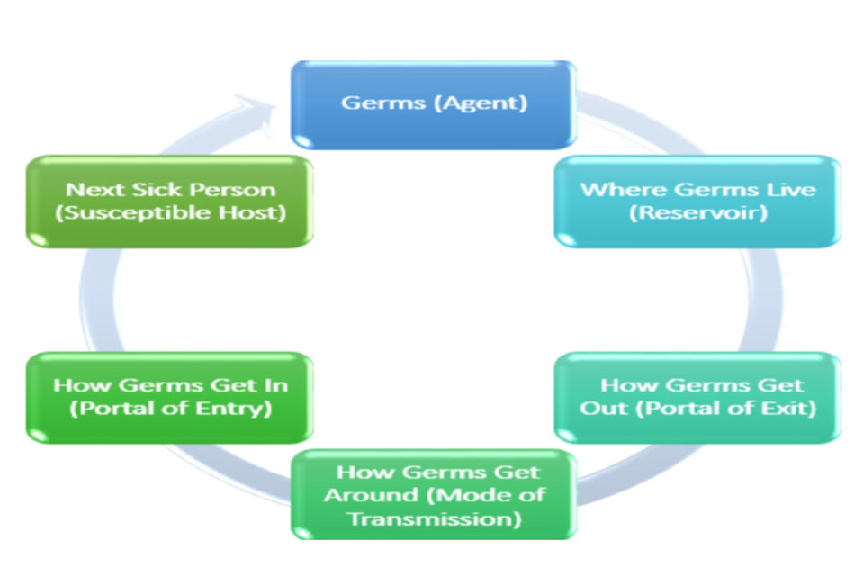 A diagram from the COVID-19 course explores the chain of infection.