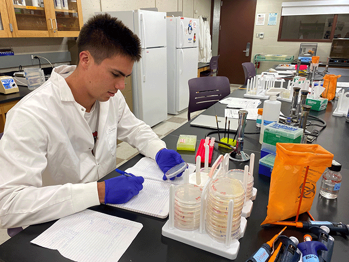 A student conducts research over the summer.