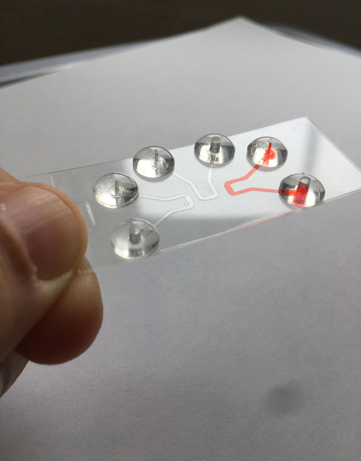 A microfluidics device.