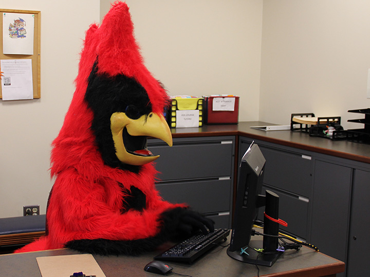Beaks the Cardinal types on a keyboard while looking at a computer monitor. File cabinets and folders are in the background.
