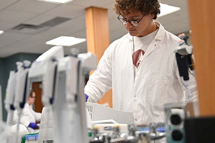 Students work in a laboratory.