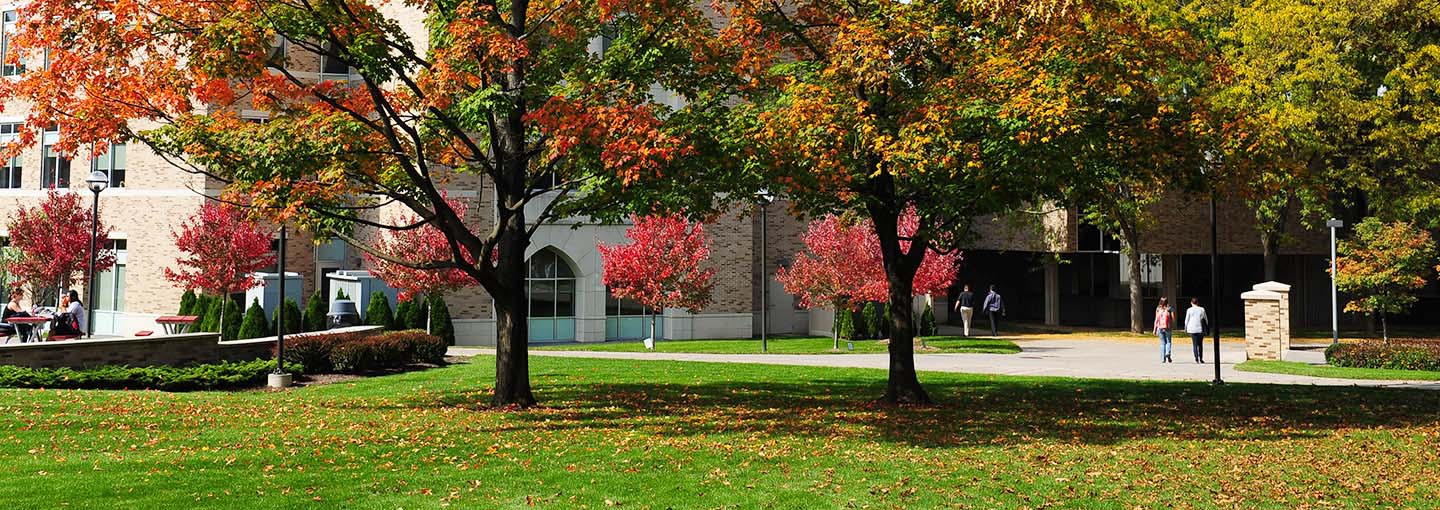 Students walk towards building on fall day.