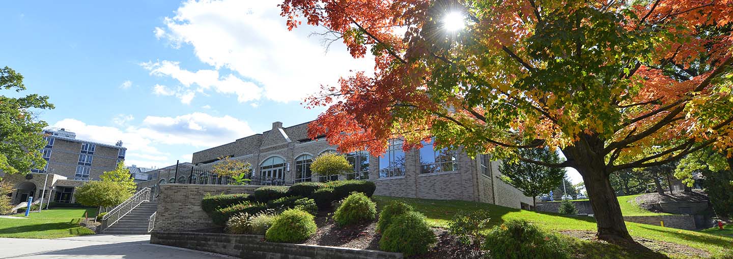 Lavery Library fall foliage.