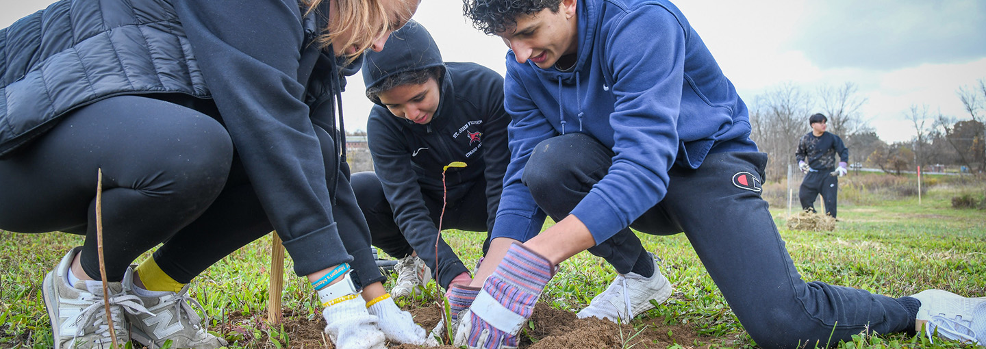 Students plant a tree together.