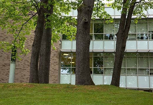 Nursing building windows and trees.