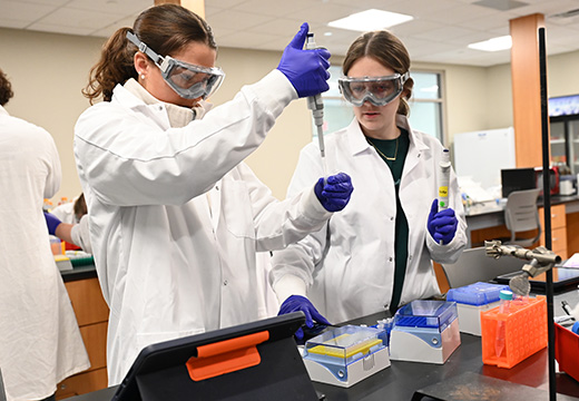 Chemistry students working together in a lab.