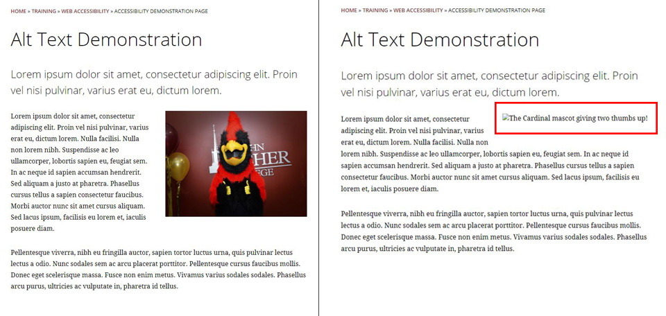 Alt text describes the content of an image when it can't be seen or displayed, as is shown in this side by side comparison of two web pages, one displaying an image and one displaying the image's alt text.